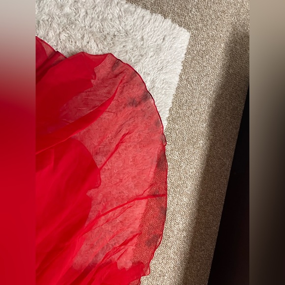 Prom Dress - Picture 7 of 7